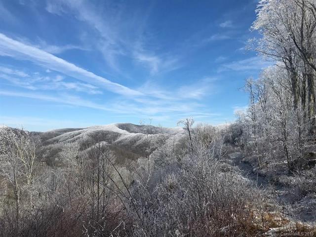 402 Hwy 226 Road - Photo 1