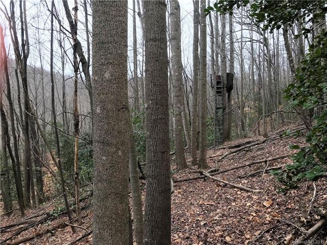 00 Smokey Mountain Trail - Photo 1