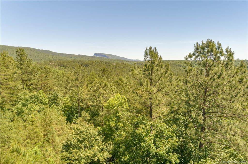 Lot 6 Pisgah Preserve Drive - Photo 1