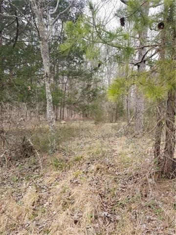 2501 Cabarrus Farms Road - Photo 1
