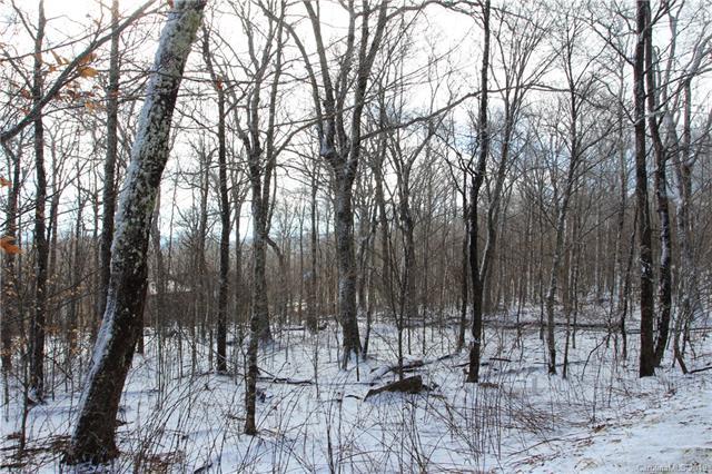 TBD Craggy Pointe - Photo 1