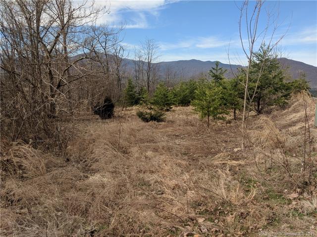 0 Bills Mountain Trail - Photo 1