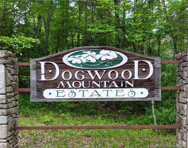 000 Dogwood Lane - Photo 1