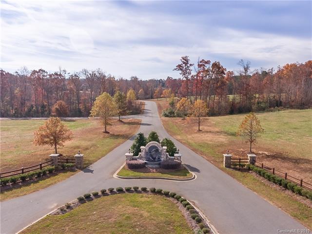 2905 Mcneely Farms Drive - Photo 1
