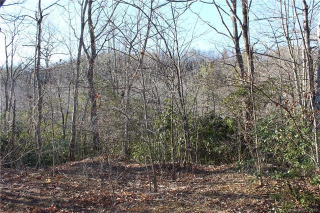 Lot 76 Arcadia Falls Way - Photo 1