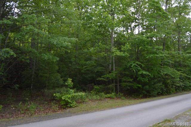 Lot 46 Linville Mountain Acres - Photo 1