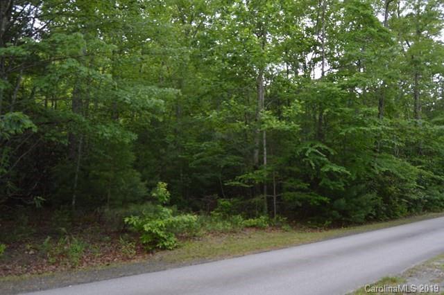 Lot 46 Linville Mountain Acres - Photo 1