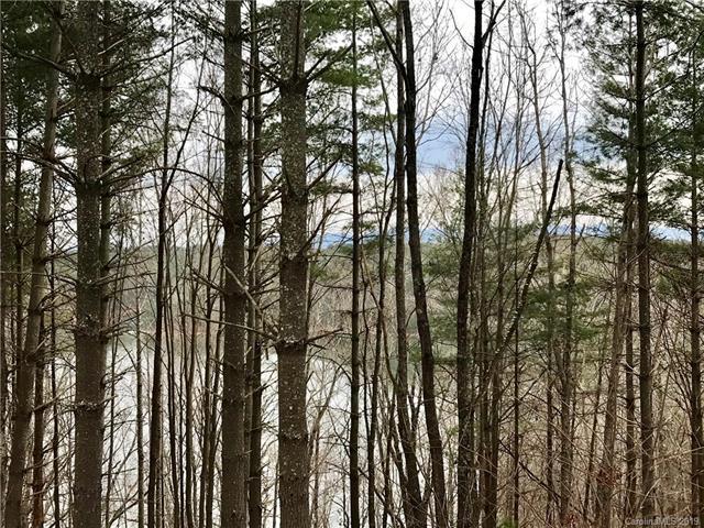 Lot 103 Crest View Drive - Photo 1