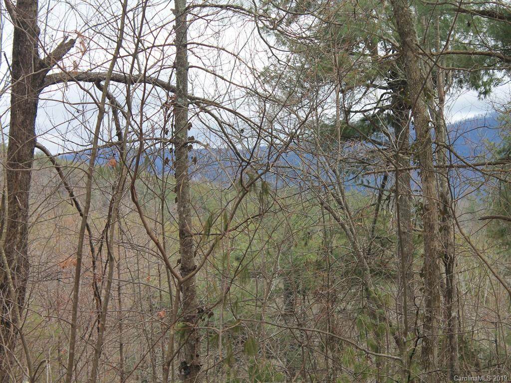 0000 Wildlife Trail - Photo 1