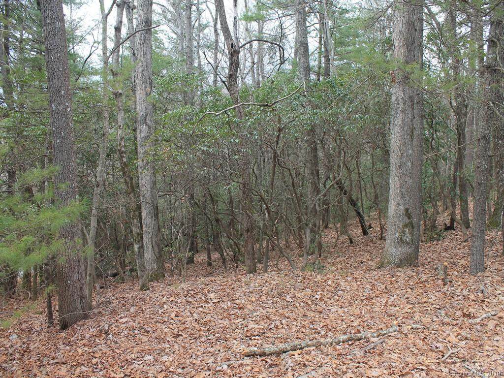 000 Wildlife Trail - Photo 1