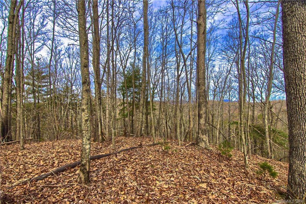 Lot #12 Rhododendron Drive - Photo 1
