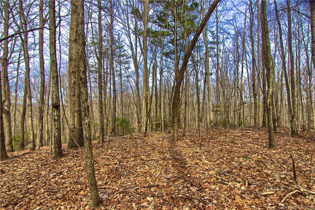 Lot #14 Rhododendron Drive - Photo 1