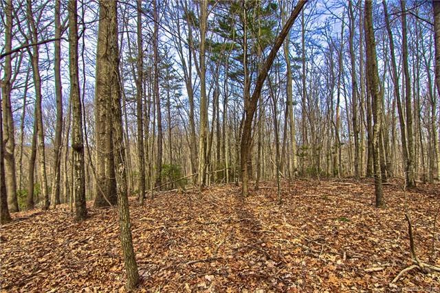 Lot #14 Rhododendron Drive - Photo 1