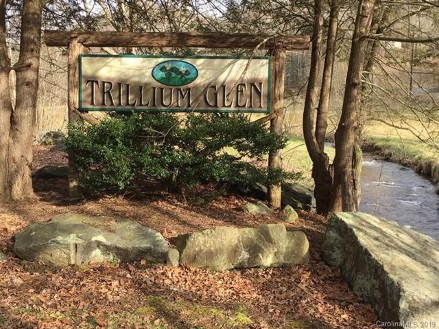Lot 30 Trillium Lane - Photo 1