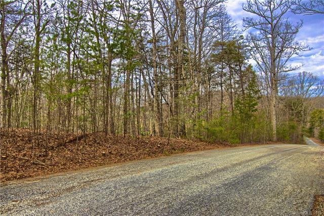 Lot #1 Rhododendron Drive - Photo 1