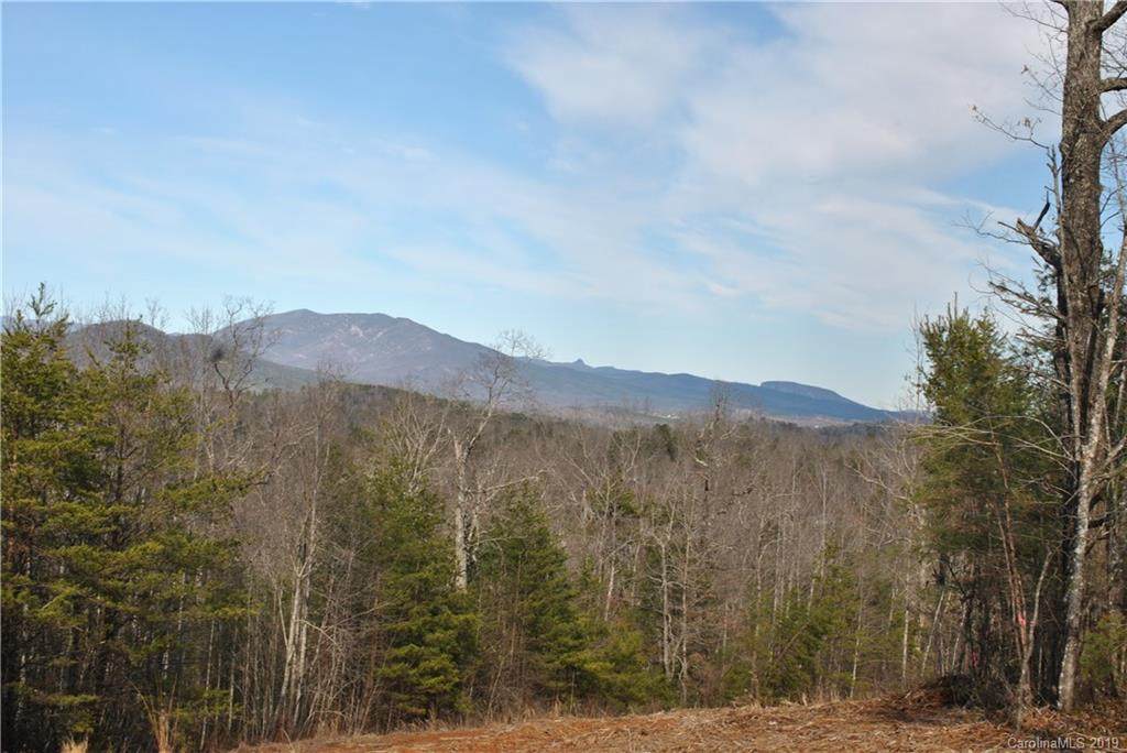999 Old Greenlee Road - Photo 1