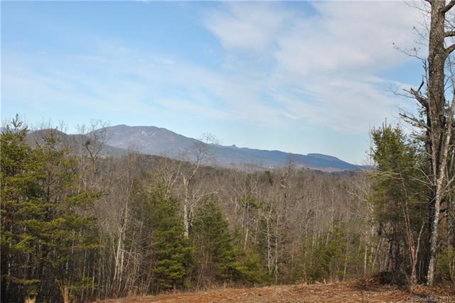 999 Old Greenlee Road - Photo 1
