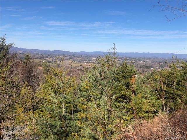 95 Balsamwood Drive - Photo 1