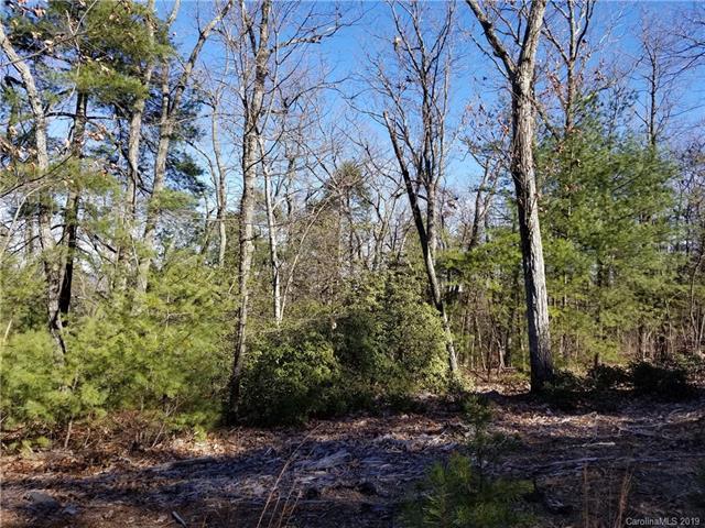 0 Sleepy Hollow Road - Photo 1