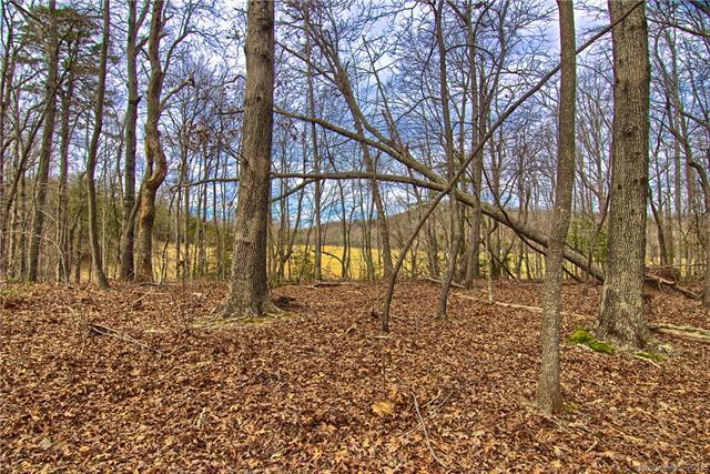 Lot #3 Azalea Way - Photo 1