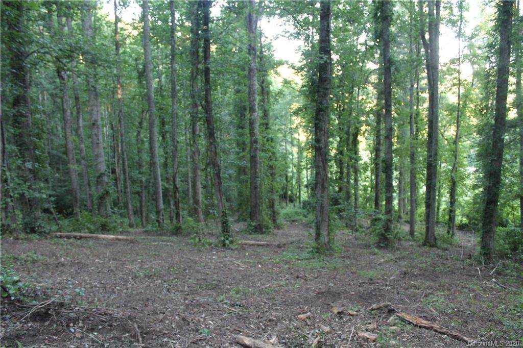 Lot 24 Hyde Well Drive - Photo 1
