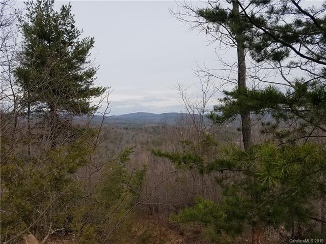 0000 Mount Gilead Church Road - Photo 1