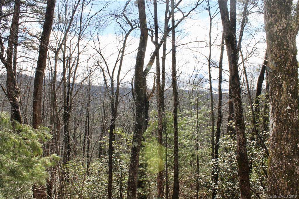 TBD East View Road - Photo 1
