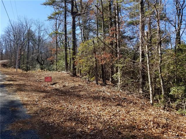 6163 Tommys Trail - Photo 1