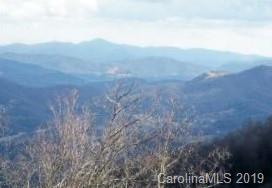 Lot 2 Sigogglin Trail - Photo 1