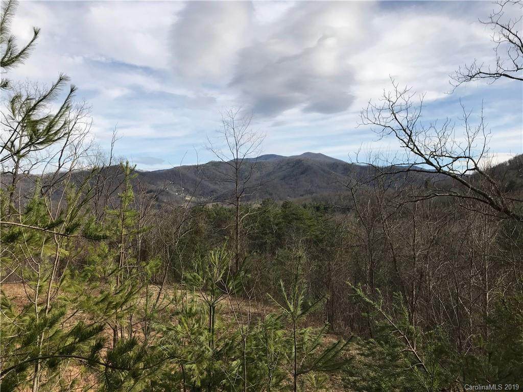0000 Spring Cove Road - Photo 1