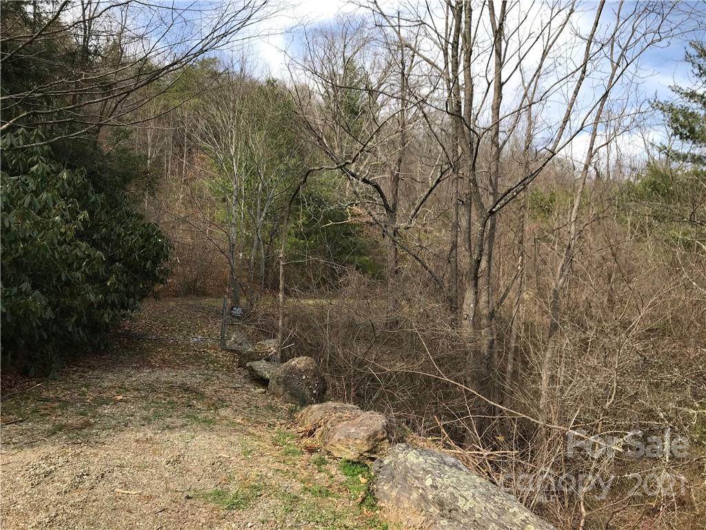 0000 Spring Cove Road - Photo 1