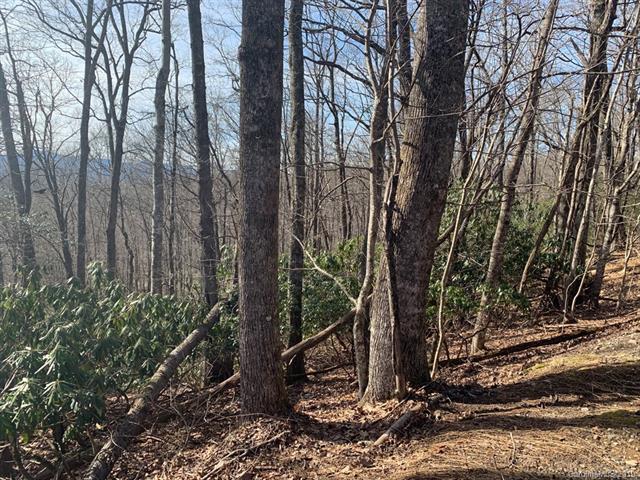 Lot 31 Connestee Trail - Photo 1