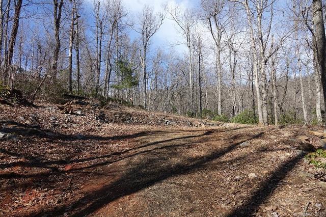 00 Rhododendron Drive - Photo 1
