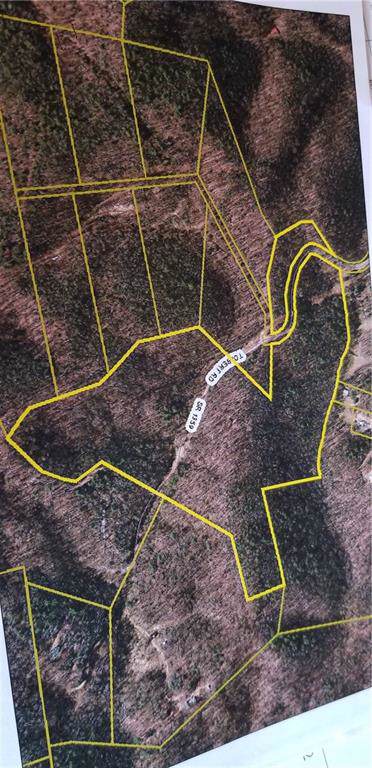 000 Tolbert Road - Photo 1