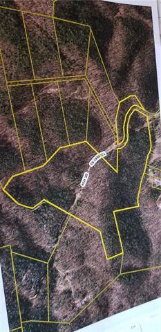 000 Tolbert Road - Photo 1