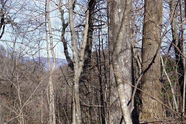 Lot # 26 Pinnacle Parkway - Photo 1