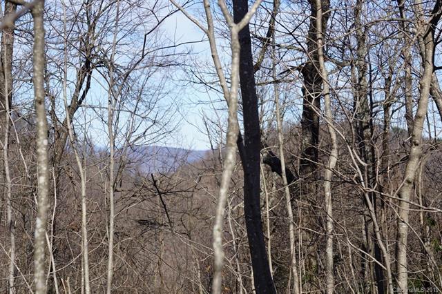 Lot # 26 & 28 Pinnacle Parkway - Photo 1