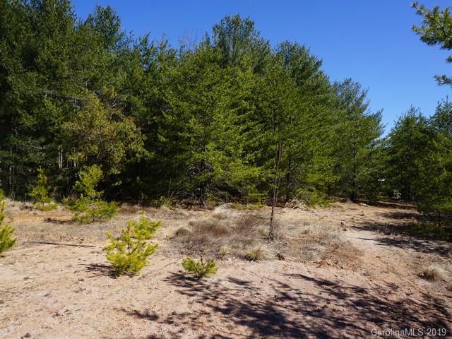 5124 Fair Oak Drive - Photo 1