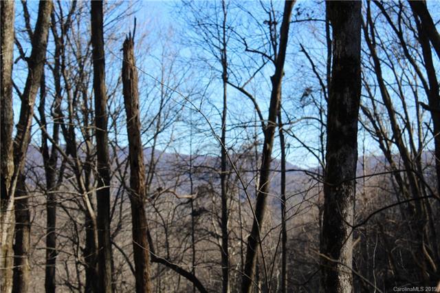 TBD (8.4 acres) Whippoorwill Lane - Photo 1