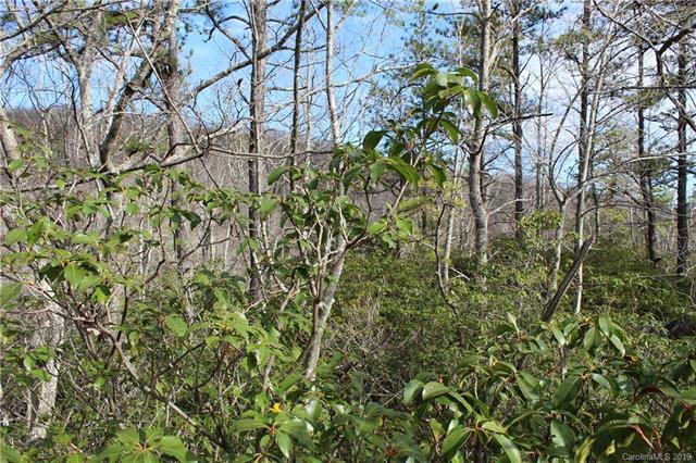 Lot 69 Mountain Falls Trail - Photo 1