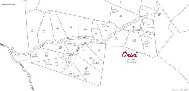TBD Windy Gap Lane - Photo 1