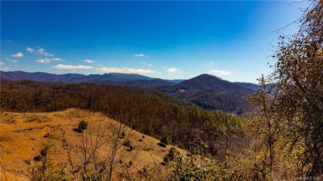 TBD Ridge Road - Photo 1