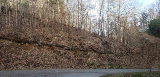 TBD Salem Drive - Photo 1