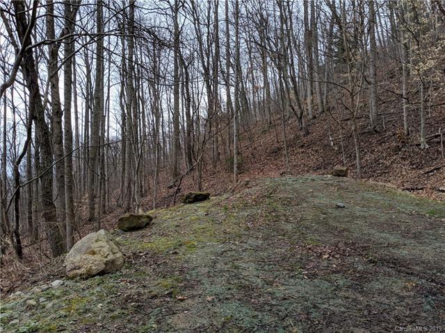 2.29 Acres on Lynn Cove Road - Photo 1