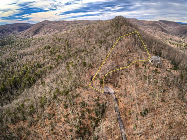 353 Black Bear Ridge Trail - Photo 1