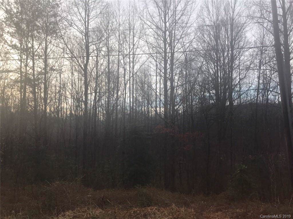 0 Dogwood Ridge Road - Photo 1