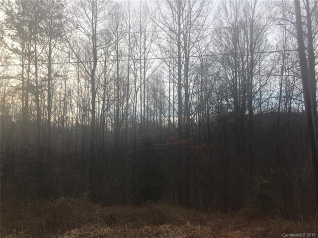 0 Dogwood Ridge Road - Photo 1