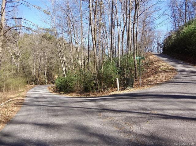 Lot 60 Coyote Hollow Road - Photo 1