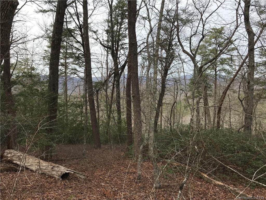 0 Bills Creek Road - Photo 1
