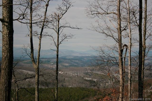 Lot 102 Arbra Mountain Way - Photo 1